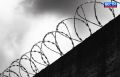 Дело о похищении. Центральный районный суд Новосибирска рассмотрел дело Тимура Рамазанова и Магамеда Аллахвердиева