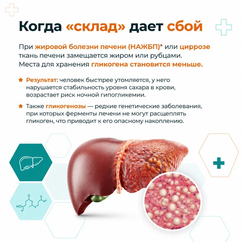 Что общего у марафонца, человека на диете и вашей печени? Все они зависят от полимера глюкозы, который называется гликогеном Что общего у марафонца, человека на диете и вашей печени? Все они зависят от полимера глюкозы, который называется гликогеном