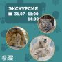 Новосибирский зоопарк приглашает на обзорные экскурсии