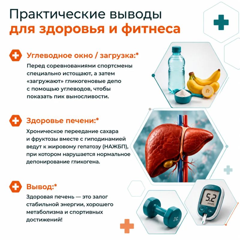 Что общего у марафонца, человека на диете и вашей печени? Все они зависят от полимера глюкозы, который называется гликогеном Что общего у марафонца, человека на диете и вашей печени? Все они зависят от полимера глюкозы, который называется гликогеном