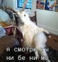 ����� �� ����� ������ ������� ��������� � ����������, � �� ���������