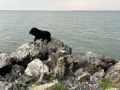 Обское или ОбскОе море? Эксперты поставили точку в вечном споре!