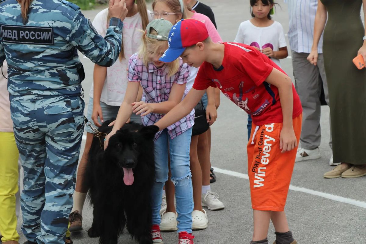 В ЦОДД прошёл День дорожной безопасности для детей В ЦОДД прошёл День дорожной безопасности для детей