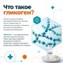 Что общего у марафонца, человека на диете и вашей печени? Все они зависят от полимера глюкозы, который называется гликогеном