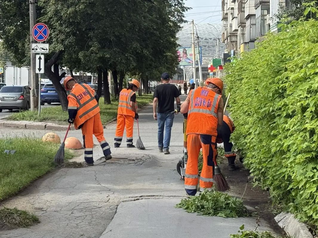 Больше, чем в прошлом году Больше, чем в прошлом году