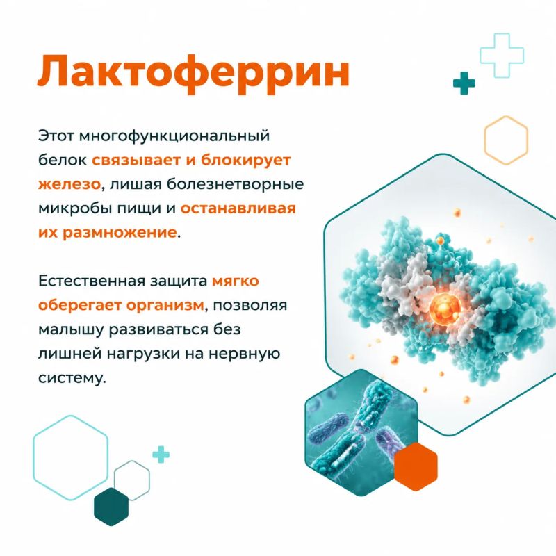 Вокруг темы ГВ ходит множество мифов Вокруг темы ГВ ходит множество мифов