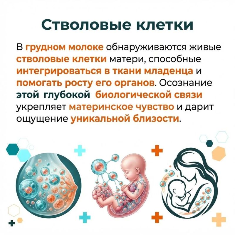 Вокруг темы ГВ ходит множество мифов Вокруг темы ГВ ходит множество мифов