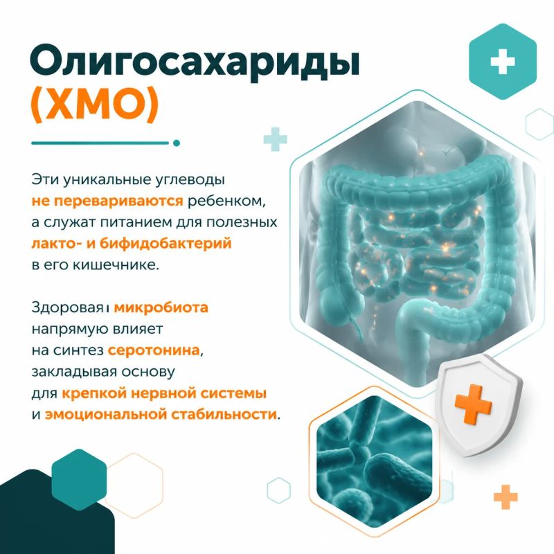Вокруг темы ГВ ходит множество мифов Вокруг темы ГВ ходит множество мифов