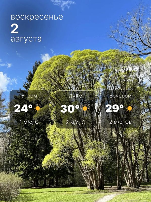ВНИМАНИЕ, СОЛНЕЧНО!. Утро порадует комфортной температурой +24°, небо будет облачным с прояснениями