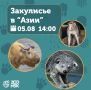 Новосибирский зоопарк приглашает на особенную экскурсию — закулисье «Азии»