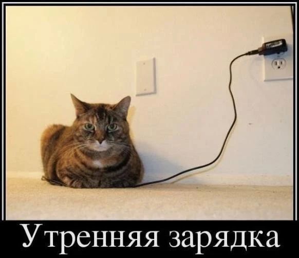 Наилегчайшая утренняя зарядка для самых ленивых