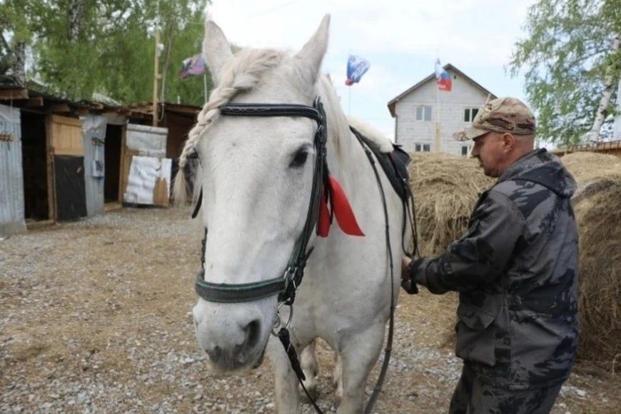 Многодетный отец после ранения на СВО основал конный клуб – он помогает бойцам проходить реабилитацию