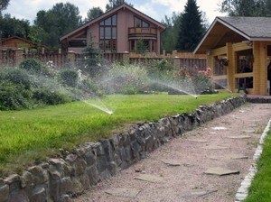Современные решения для автополива дачных участков