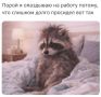 В понедельник все такими будем...а сейчас время сладко спать (и не забыть про будильники!)