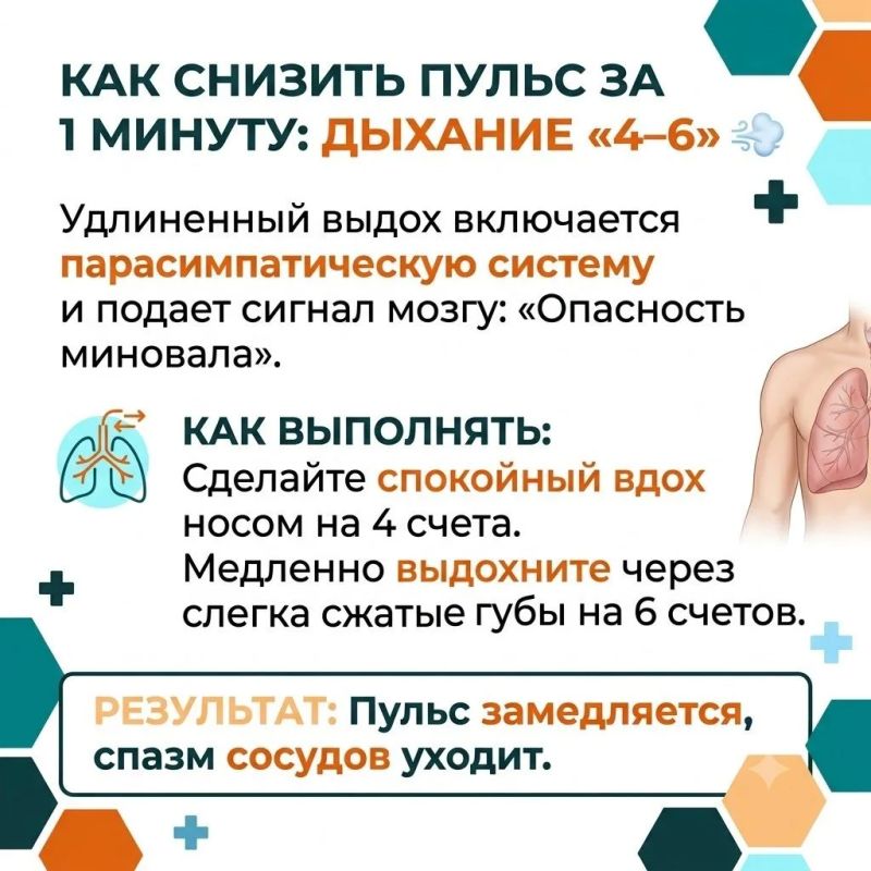 «Все болезни от нервов» — фраза, которую мы слышим с детства «Все болезни от нервов» — фраза, которую мы слышим с детства