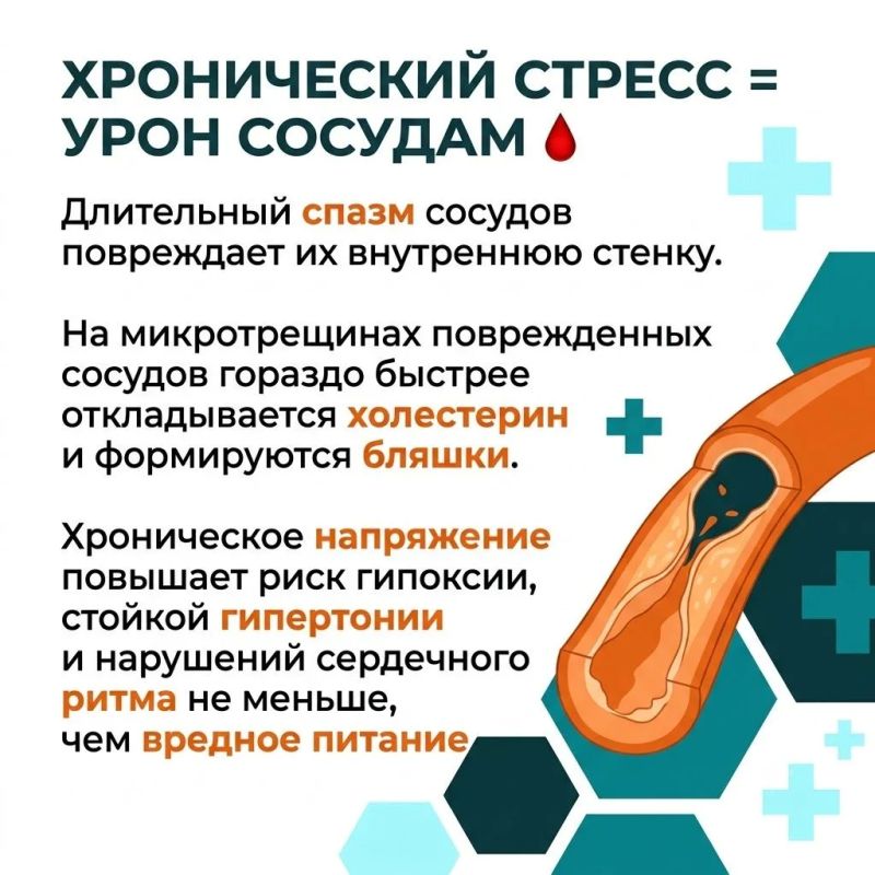 «Все болезни от нервов» — фраза, которую мы слышим с детства «Все болезни от нервов» — фраза, которую мы слышим с детства