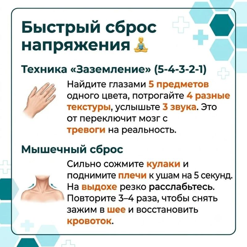«Все болезни от нервов» — фраза, которую мы слышим с детства «Все болезни от нервов» — фраза, которую мы слышим с детства