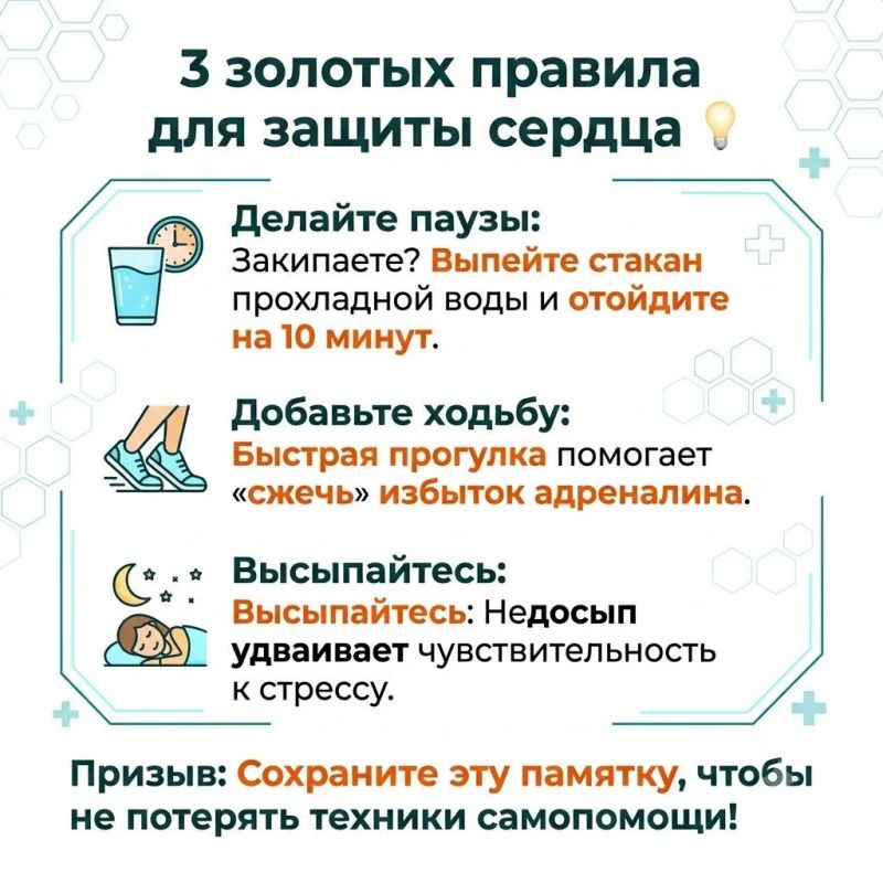 «Все болезни от нервов» — фраза, которую мы слышим с детства «Все болезни от нервов» — фраза, которую мы слышим с детства