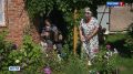 Осенний урожай. Жителям Новосибирской области напомнили о культурах для посадки в августе