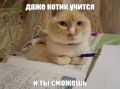 Начало нового учебного года совсем близко! Собрали самые неочевидные советы для подготовки к продуктивной жизни
