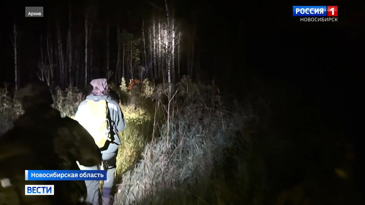 Итоги поисков. Поисковый отряд «ЛизаАлерт» обнародовал статистику по Новосибирской области за июль 2026 года