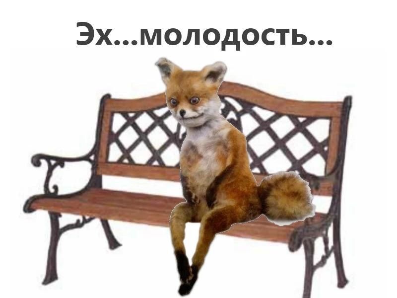 Сегодня отмечается Международный день молодежи