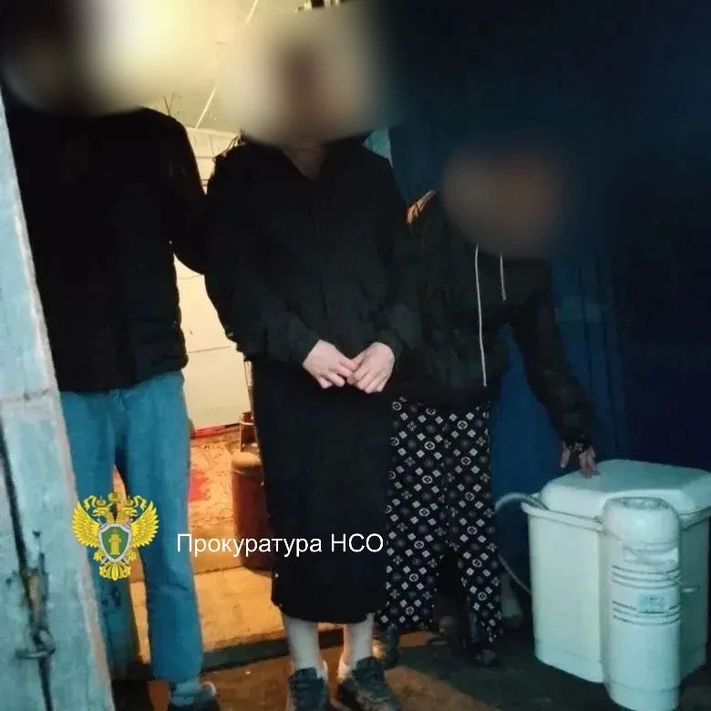 В Новосибирской области женщина при помощи санок похитила 2 тонны угля