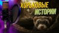Не все знают, но даже такие маленькие существа, как куньи, могут быть очень умными и эмоциональными