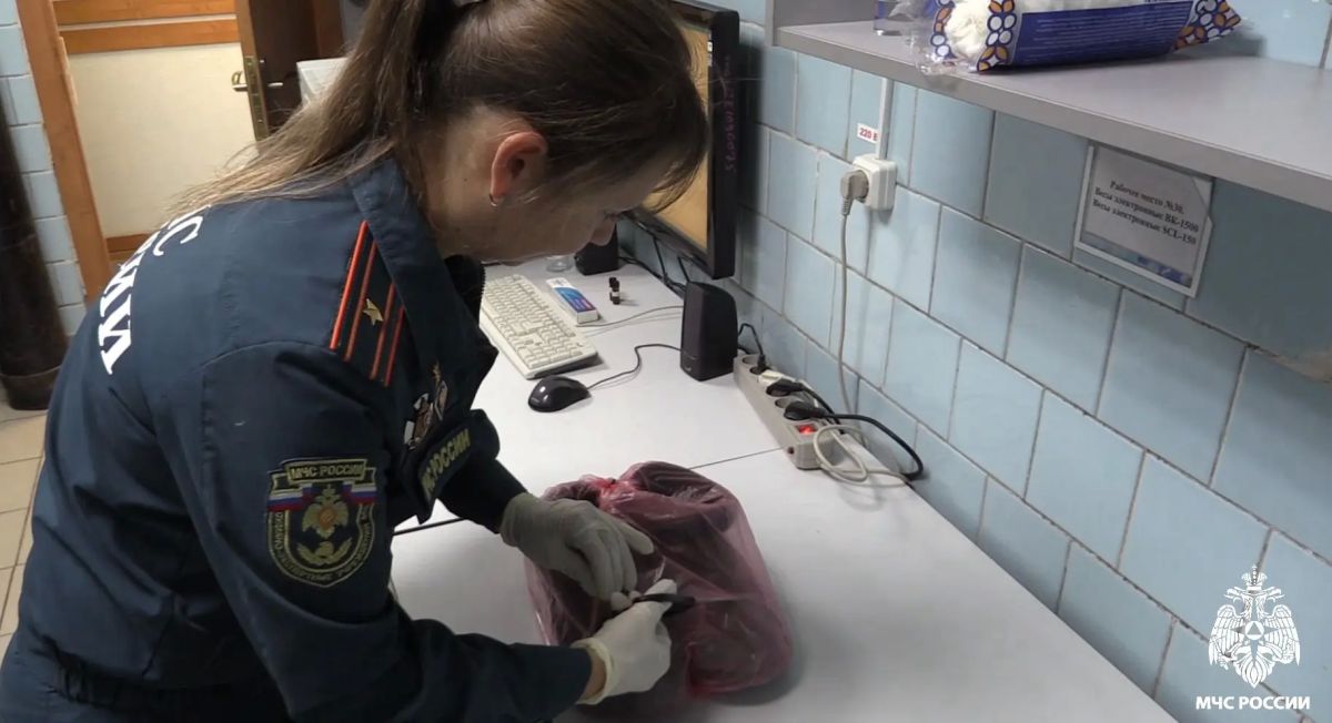 Испытательная пожарная лаборатория: экспертиза во имя безопасности Испытательная пожарная лаборатория: экспертиза во имя безопасности