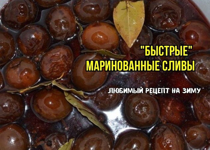 Погружение в осень: маринованные сливы, которые стоит попробовать