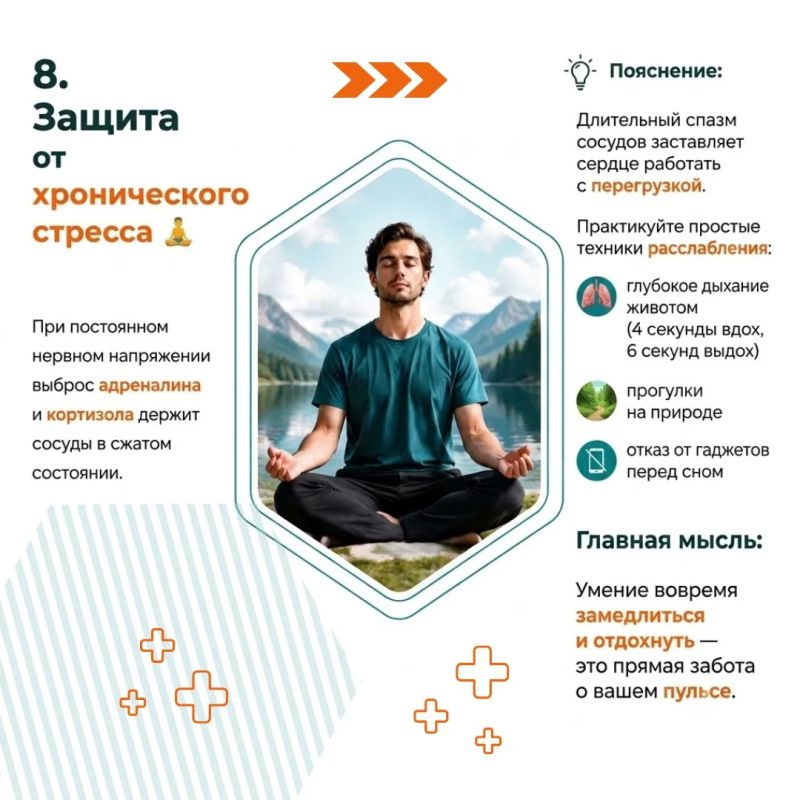 Наше сердце работает без перерывов и выходных, прокачивая тысячи литров крови каждый день Наше сердце работает без перерывов и выходных, прокачивая тысячи литров крови каждый день