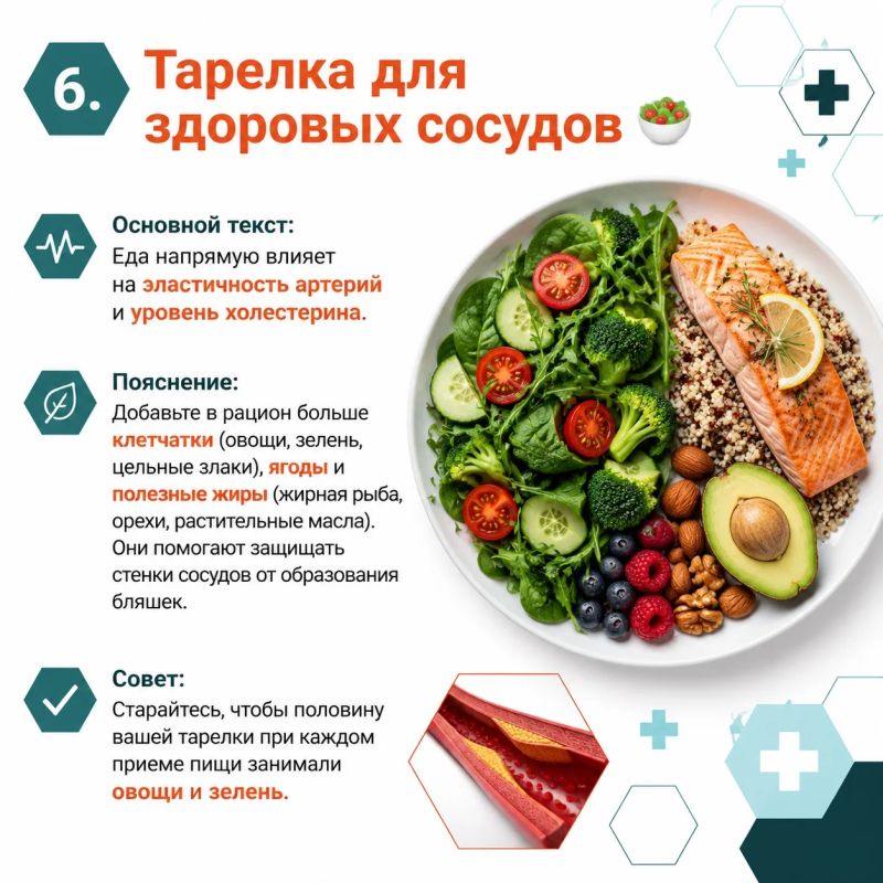 Наше сердце работает без перерывов и выходных, прокачивая тысячи литров крови каждый день Наше сердце работает без перерывов и выходных, прокачивая тысячи литров крови каждый день