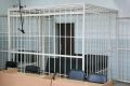 Бьет значит любит: женщина простила новосибирца за избиения кочергой