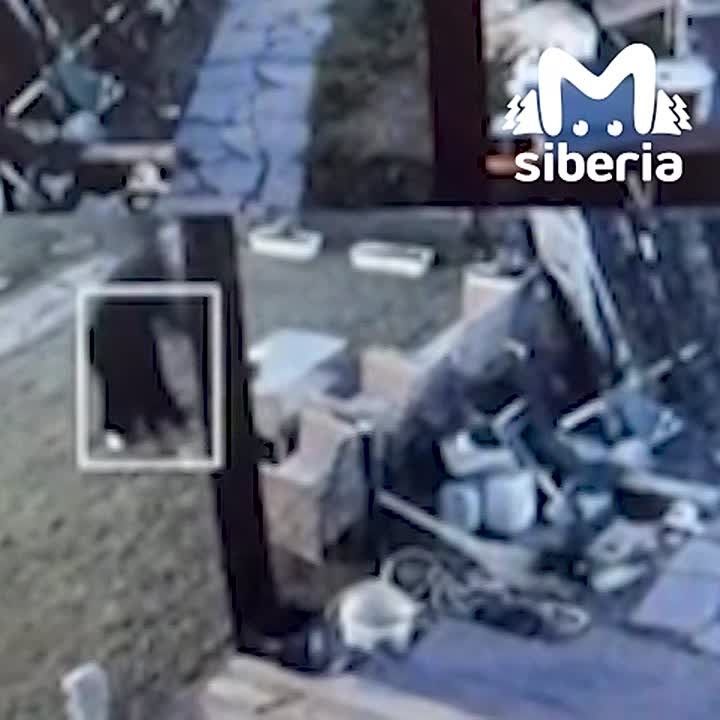 Светошумовые гранаты прилетели в частный дом в новосибирском поселке Элитный