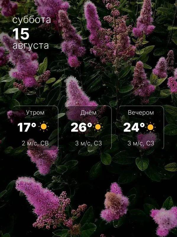Погода в субботу: тепло и сухо
