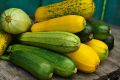 Рулетики из кабачков: 11 оригинальных рецептов для любого повода