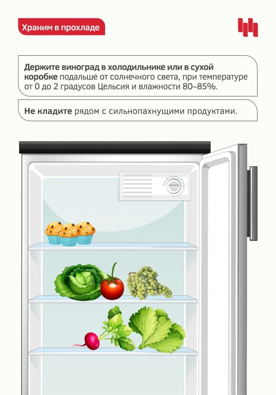 Чтобы приобрести качественный виноград в магазине или на рынке, стоит придерживаться простых правил Чтобы приобрести качественный виноград в магазине или на рынке, стоит придерживаться простых правил