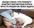 Так-так, прогноз магнитных бурь ждали? Публикуем