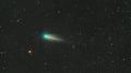 Одну из самых ярких комет 2026 года 220P/McNaught запечатлели в Ордынском районе Новосибирской области, сообщили ТАСС в НГУ