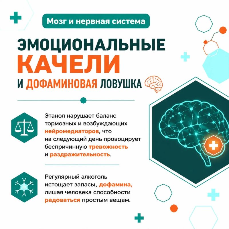 Когда мы думаем о вреде спиртного, на ум сразу приходит печень, но другие системы реагируют на него гораздо быстрее Когда мы думаем о вреде спиртного, на ум сразу приходит печень, но другие системы реагируют на него гораздо быстрее