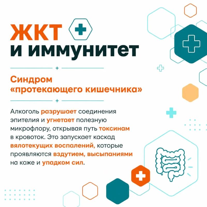 Когда мы думаем о вреде спиртного, на ум сразу приходит печень, но другие системы реагируют на него гораздо быстрее Когда мы думаем о вреде спиртного, на ум сразу приходит печень, но другие системы реагируют на него гораздо быстрее