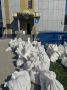 В спортивном комплексе «Мир бокса» начался капитальный ремонт