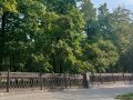 Максим Кудрявцев: Поручил штабу по контролю за благоустройством и Горзеленхозу до конца сезона провести работы по восстановлению ограждения в Театральном сквере возле театра оперы и балета