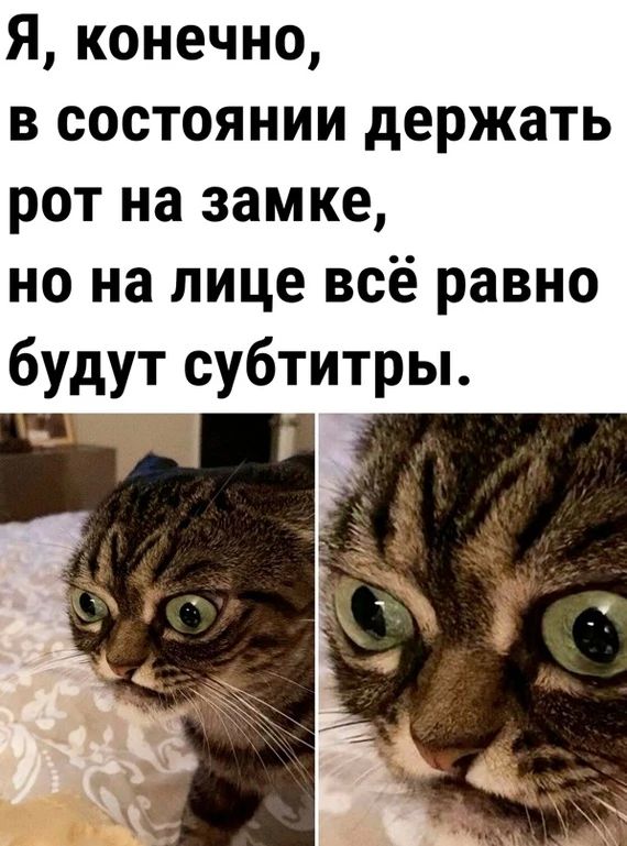 В Новосибирске появилась социальная реклама против мата