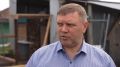 Начали восстанавливать поголовье скота