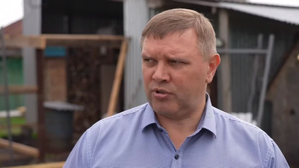 Начали восстанавливать поголовье скота