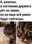 � ������������ ��������� ���������� ������� ������ ����