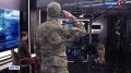 Четвероногие защитники. 19 августа в России отмечают День фронтовой собаки