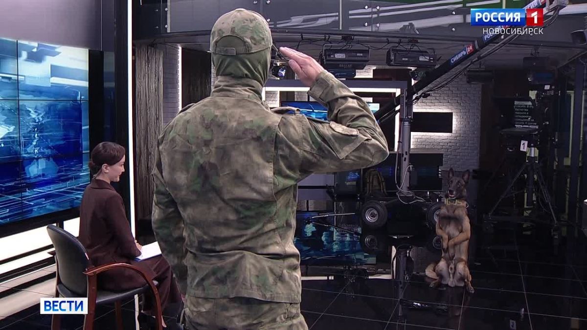 Четвероногие защитники. 19 августа в России отмечают День фронтовой собаки