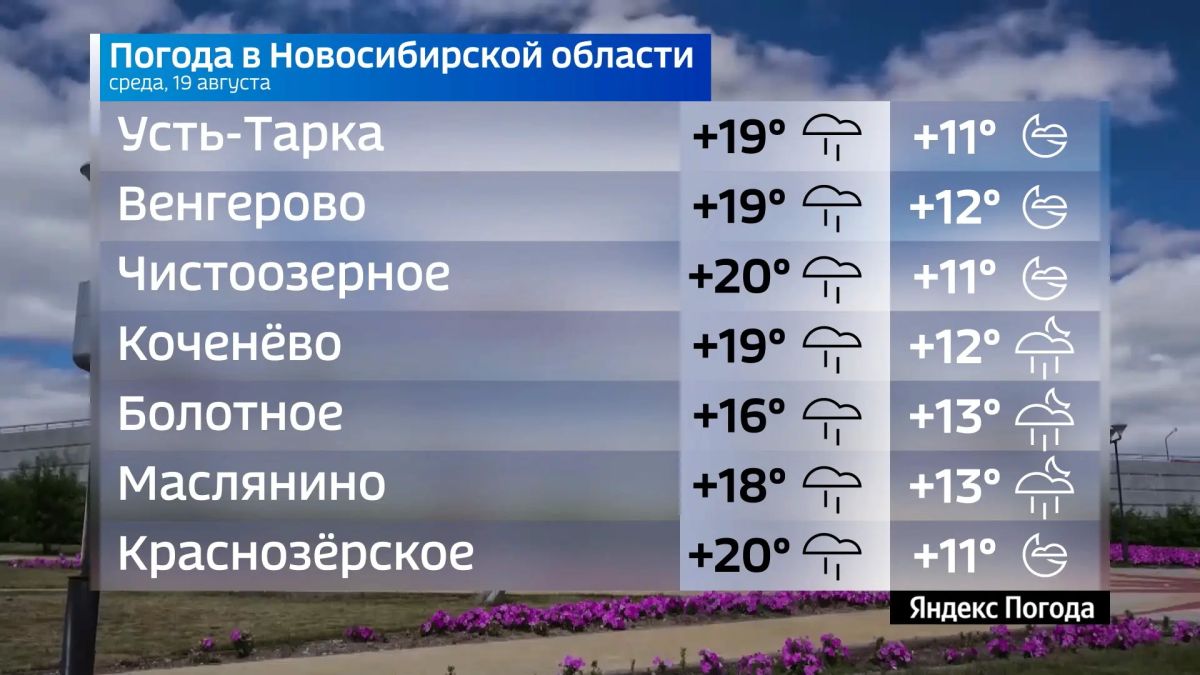 Прогноз погоды на 19 августа 2026 года в Новосибирской области Прогноз погоды на 19 августа 2026 года в Новосибирской области